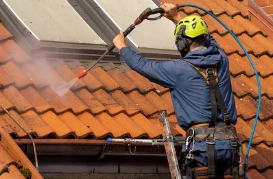 Démoussage et hydrofuge de toiture à Rotherens